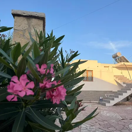 Arkle ساراندا